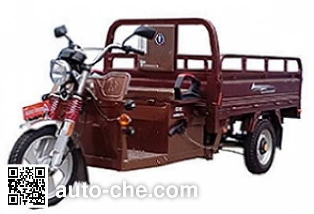 Электрический грузовой мото трицикл Dalishen DLS4500DZH-5C