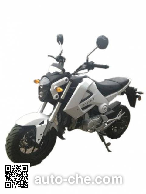 Мотоцикл Pengcheng PC110-3