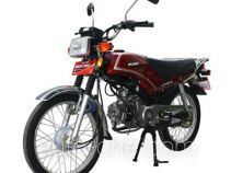 Мотоцикл Lifan LF100-G
