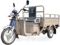 Электрический грузовой мото трицикл Zip Star