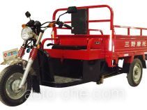 Электрический грузовой мото трицикл Sanye